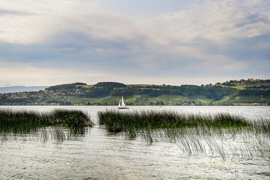 Murten, Morat, Murtensee, See, Seeufer, Mont Vully, Weinberge, Schifffahrt, Seerundfahrt, Weindorf, Weinregion, Weinbauer, Winzerd&ouml;rfer, Wanderweg, Sommer, Schweiz 
