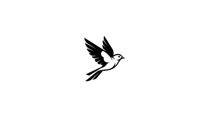Obraz premium Bird in flight soaring through the air with wings spread
