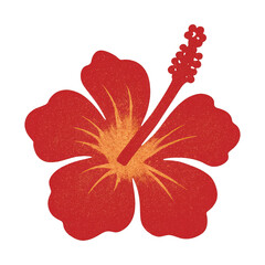 Fototapeta premium PNG Vibrant tropical hibiscus flower