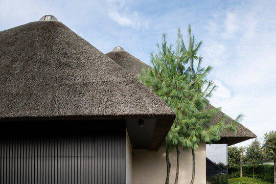thatched roofs