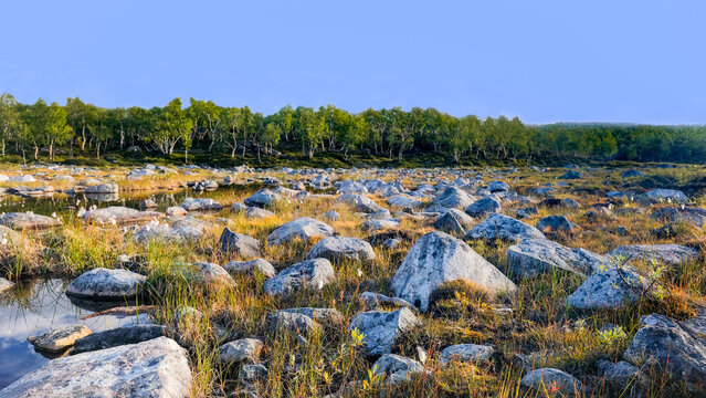 At the foot of Mount Saana, there is a boulder field, known as rakka in Lapland. Rakka is the term used in Lapland for scree or rocky terrain. Typical rocky landscape of Lapland Finland.