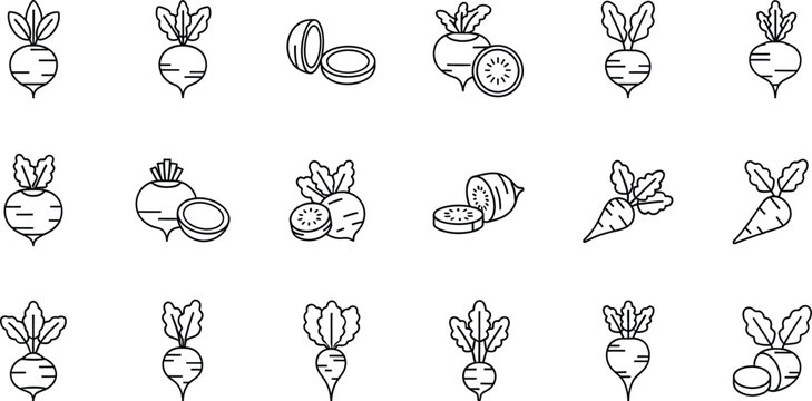 Vector illustration of radish and turnip icons set in thin line style for food design