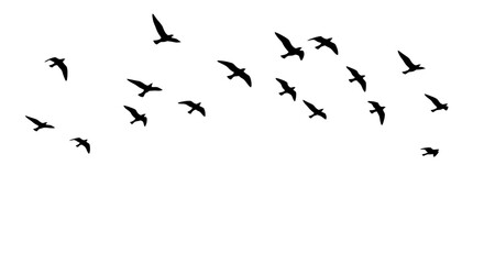 Fototapeta premium A simple text image with vector file written in it