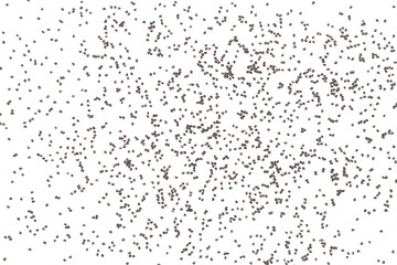  Poppy seeds scattered, isolated on white background, clipping path