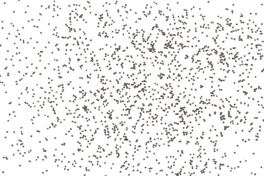  Poppy seeds scattered, isolated on white background, clipping path