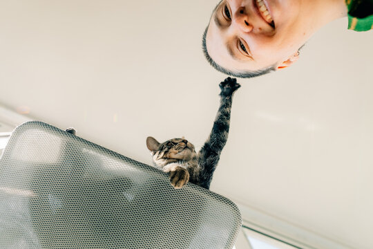 Cat Reaching for the Head of a Person Takes a Selfie Indoors