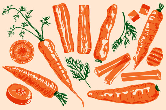 Orange carrots. Fresh organic vegetables with green leaves vintage risograph style farm food concept, abstract root plant with tops linocut print effect. Vector isolated carrot set