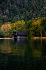 Obraz premium The autumn in Bayern.