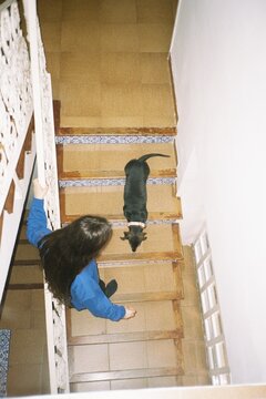 Girl and Dog on Stairs
