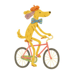PNG Whimsical dog cycling illustration