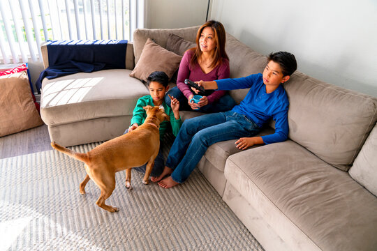 family couch dog tv remote