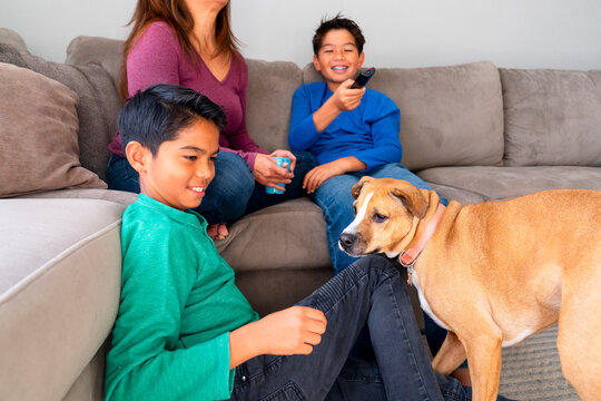 Family Enjoys a Cozy afternoon With a Playful Dog on the Couch