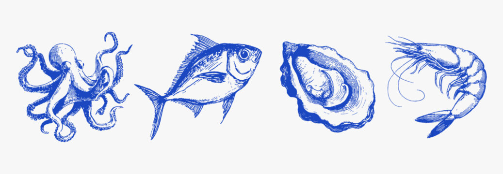 Seafood collection hand drawn ink line sketch. Mediterranean fish, octopus and shrimp drawings with a rough crayon for coastal restaurant branding and marine posters.