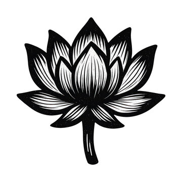 PNG Elegant black lotus illustration