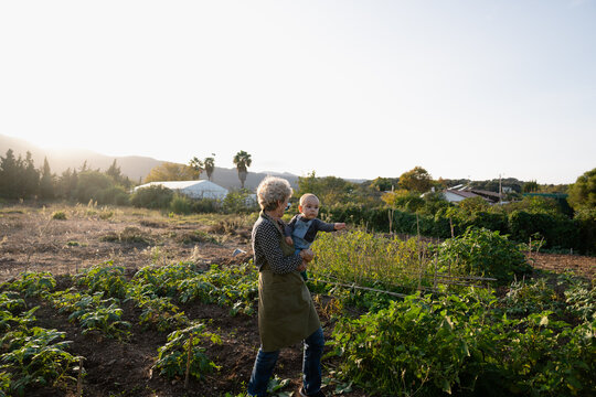 grandmother walking with baby in a vegetable patch