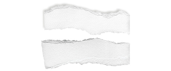 Fototapeta premium Ripped element set of torn paper edges isolated with clipping path on white background. torn paper texture, ripped of paper designs and jagged paper edges create a raw, artistic look Png
