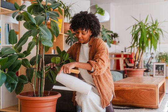 Woman is watering houseplants