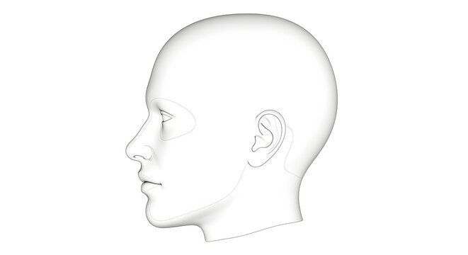 Minimalist Human Head Outline in Side Profile, a Modern Wireframe Illustration for Medical, Technology, AI