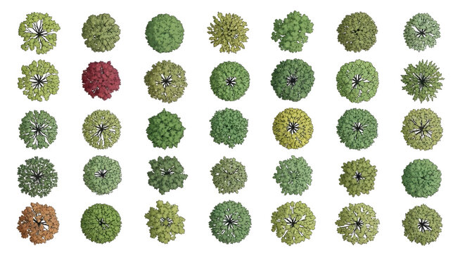 Tree Top View Color Vector Collection &ndash; Diverse Foliage Patterns for Architecture and Landscape Plans