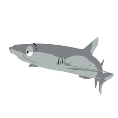 Fototapeta premium Whitetip Shark Cartoon Drawing - Editable EPS