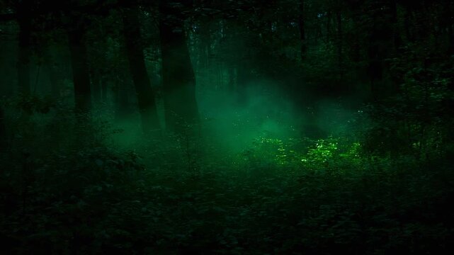Glowing forest clearing releasing emerald glow patch across dark undergrowth, lighting shiny leaves