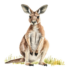 Kangaroo, watercolor clipart vector, isolated on a white background. © nexora