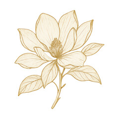 Fototapeta premium PNG Elegant golden floral illustration