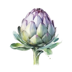 Obraz premium Watercolor painting of a fresh artichoke with purple and green leaves isolated on a white background