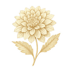 Fototapeta premium PNG Elegant golden flower illustration