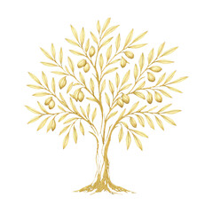 Fototapeta premium PNG Golden olive tree illustration.