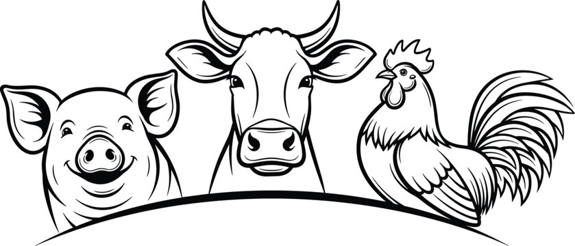 Farm animals illustration featuring a smiling pig cow and rooster heads set above a curved border line perfect for organic meat butcher shop agriculture and livestock branding.