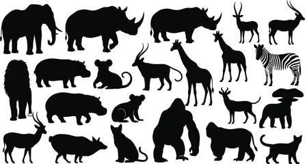 Large collection of wild safari animal silhouettes including elephant rhino giraffe lion gorilla zebra and koala isolated on white background for nature graphic design © MDMizanur