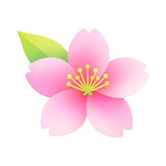 Fototapeta premium PNG Delicate pink cherry blossom illustration.