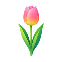 Fototapeta premium PNG Vibrant tulip illustration, transparent background.