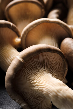 Close up of fresh oyster mushrooms, focus on first mushroom 