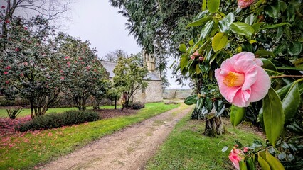 Chapelle Notre-Dame de Kerluan - CH&Acirc;TEAULIN (Finist&egrave;re)