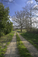 Obraz premium Strada di campagna