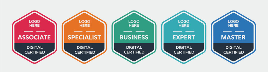 Certified shield badge collection, company training certificate logos, quality assurance seals, colorful security emblem vector bundle. © Kayla Quentin