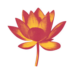 Fototapeta premium PNG Vibrant lotus flower illustration