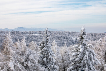 Zimowy widok na Tatry z Jaworzyny Krynickiej. Tatry. Zimna w Tatrach. Jaworzyna Krynicka. Widok z Jaworzyny Krynickiej. © Leszek Szelest