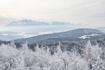 Zimowy widok na Tatry z Jaworzyny Krynickiej. Tatry. Zimna w Tatrach. Jaworzyna Krynicka. Widok z Jaworzyny Krynickiej. © Leszek Szelest