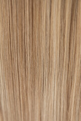 A blonde girl seen from the back with long light brown hair and a trimmed edge