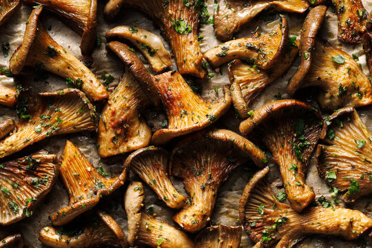 Grilled oyster mushrooms in a herb marinade, top view