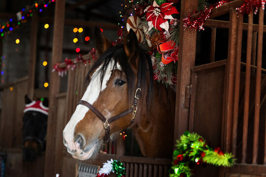 Christmas Horse with barn  stable stall decor for holiday