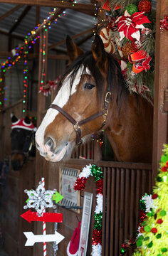 Christmas Horse with barn  stable stall decor for holiday