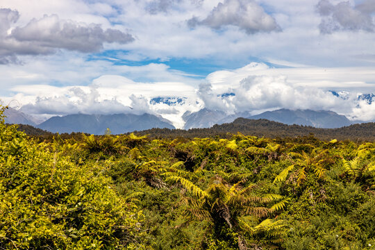 Native vegetation with snow capped Southern Alps in New Zealand