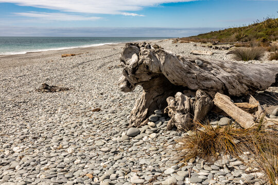 Driftwood on a remote pebble beach in South Island, New Zealand