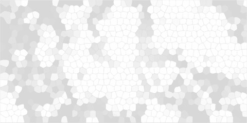 Abstract white mosaic pattern background with geometric cell shapes, light grey textured voronoi tessellation design