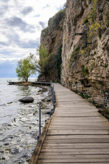 A focused vertical shot reveals the weathered wooden planks of a boardwalk path, guarded by simple...