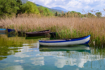 Obraz premium Small wooden boats rest among tall, dry reeds on the calm, clear waters of Lake Ohrid. Lush green hills and distant mountains frame the serene natural landscape under a bright, partly cloudy sky.